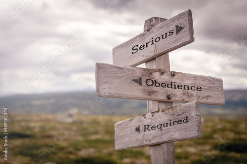 serious obedience required text on wooden sign outdoors in nature. Religious and christianity quotes. photo
