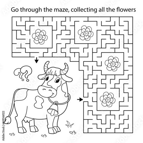 Maze or Labyrinth Game. Puzzle. Coloring Page Outline Of cartoon cow with bell. Collect flowers . Coloring book for kids.
