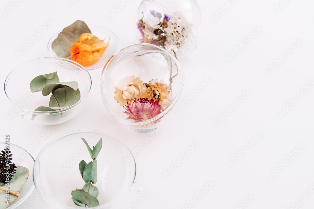 DIY ornaments filled with dried flowers on white background DIY ornaments filled with dried flowers on white background