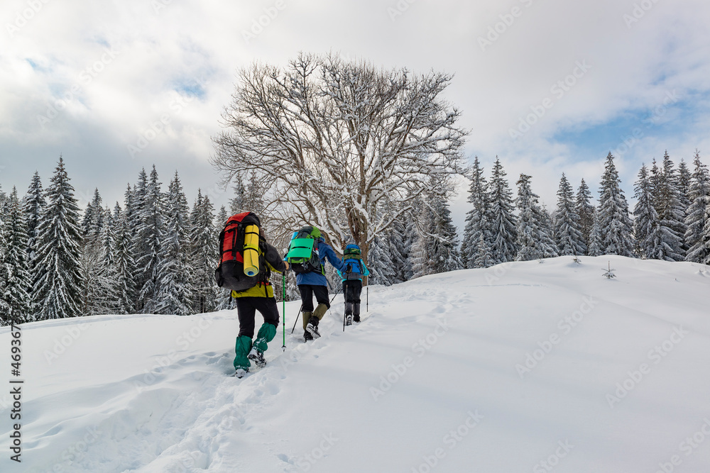Hikers on the winter trail