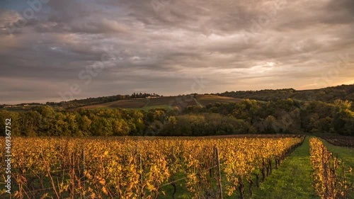 Forward and reverse fast timelapse of the sun with cloudsBordeaux vineyard in autumn under sunset, High quality 4k footage