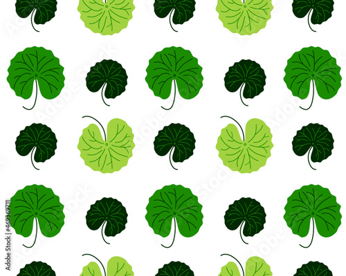 Centella asiatica leaves background. Gotu cola green and white backdrop. Medicine und cosmetic ingredient. Herbal cartoon wallpaper. Water pant illustration. 