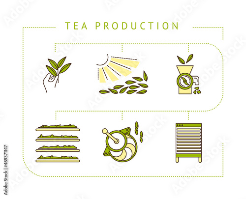 the process of making tea by stages