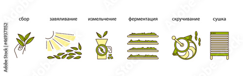 the process of making tea by stages