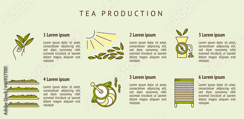 the process of making tea by stages