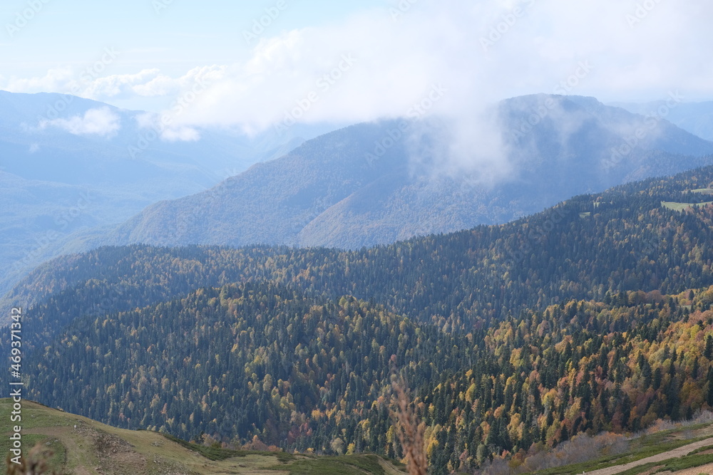 Fototapeta premium landscape in the morning