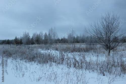Wallpaper Mural river in winter Torontodigital.ca