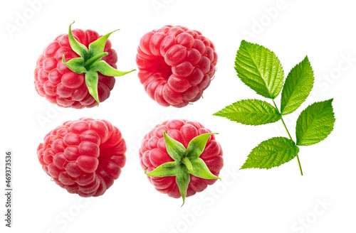 Raspberry and leaves collection isolated on white background.
Raspberries closeup set.