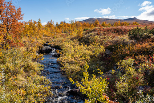 Vivid Autumn Stream and Panorama Landscape in Remote wilderness of arctic Pieljekaise National Park South of Jakkvik, Sweden on a sunny autumn day with yellow and orange colors in nature. photo