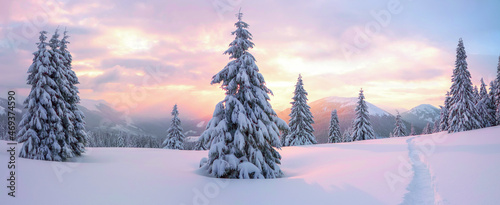 A panoramic view on high mountain. Winter forest. Amazing sunrise. Lawn covered in snow. Natural landscape with beautiful sky. Snowy background. Location place the Carpathian, Ukraine, Europe.