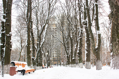 A deserted road goes into a distance in a snowy winter park at freezing cold day. A walking path in a city park with bare branched trees. A wooden bench covered with snow. A place for walks outdoors.