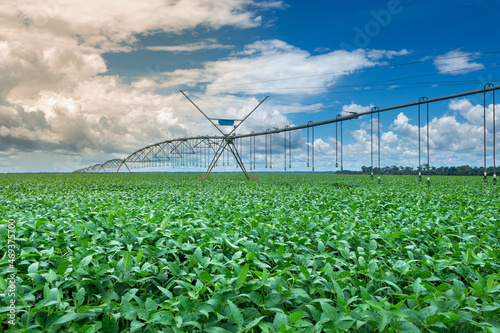 Obraz na płótnie Beautiful view of huge farm soy plantation with central pivot irrigation machine on sunny summer day
