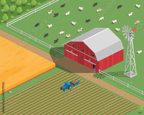 Vector clipart Farm. Country house, Barn, Village. Isometry, 3D. Pasture, cows.