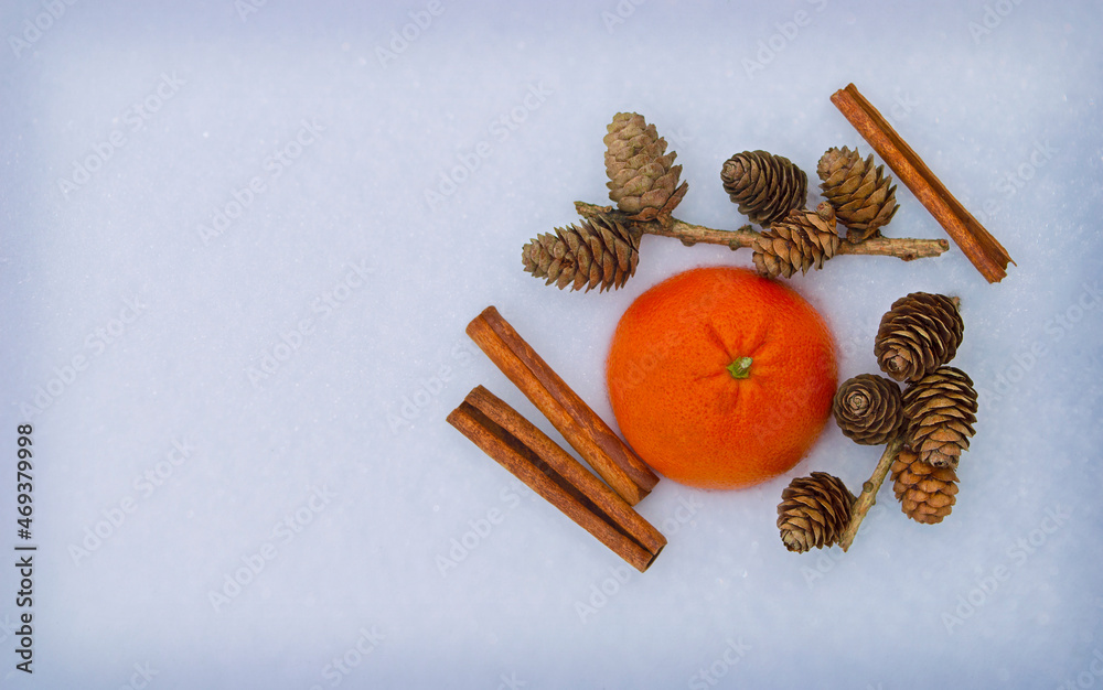 Fototapeta premium ingredients for cooking or christmas decoration. flat lay. space for text. Winter season. greeting card.Christmas scents