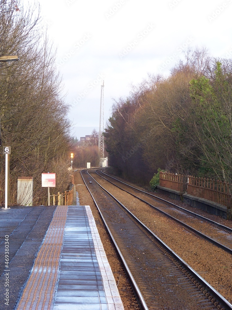 Fototapeta premium railroad tracks for the country