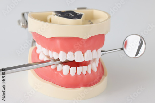 Medical dental mirror in artificial human jaw closeup