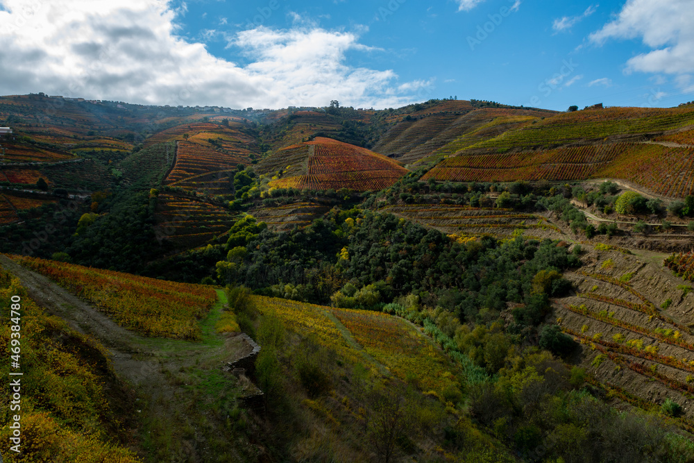 Obraz premium Panoramic view on Douro river valley and colorful hilly stair step terraced vineyards in autumn, wine making industry in Portugal