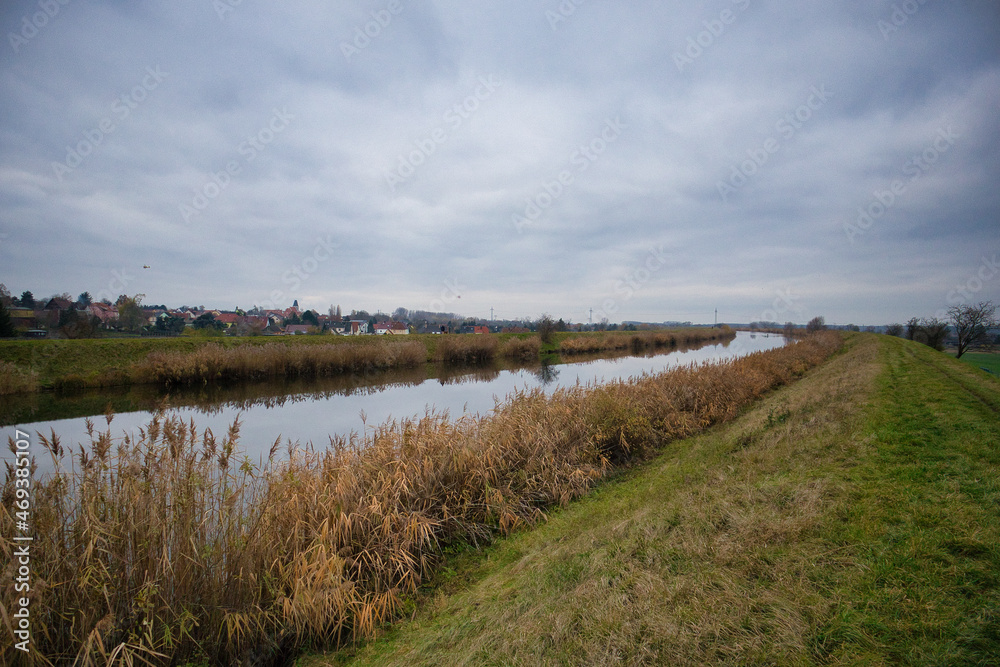 Ruderstrecke Leipzig Saale Kanal, Saale-Elster-Kanal im Herbst, Ufer mit Schilf, Leipzig, Sachsen, Deutschland