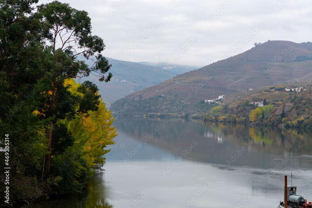 View on Douro river with reflection in water of colorful hilly stair step terraced vineyards in autumn, wine making industry in Portugal