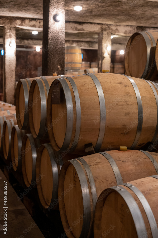 Keeping for years of dry red wine in new oak barrels in caves in Burgundy, made from pinot noir grape