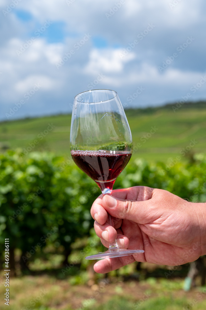 Tasting of burgundy red wine from grand cru pinot noir  vineyards, hand with glass of wine and view on green vineyards in Burgundy Cote de Nuits wine region, France