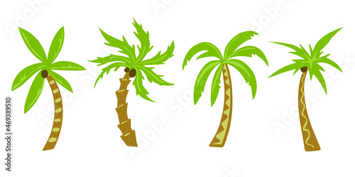 palm trees tropical set flat vector illustration