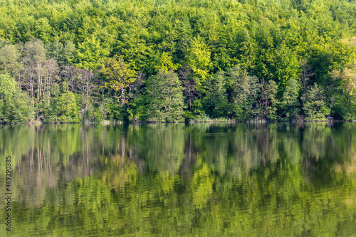 Waldsee