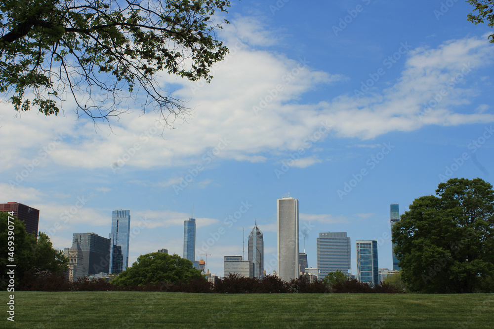 Fototapeta premium Chicago Central Park 3