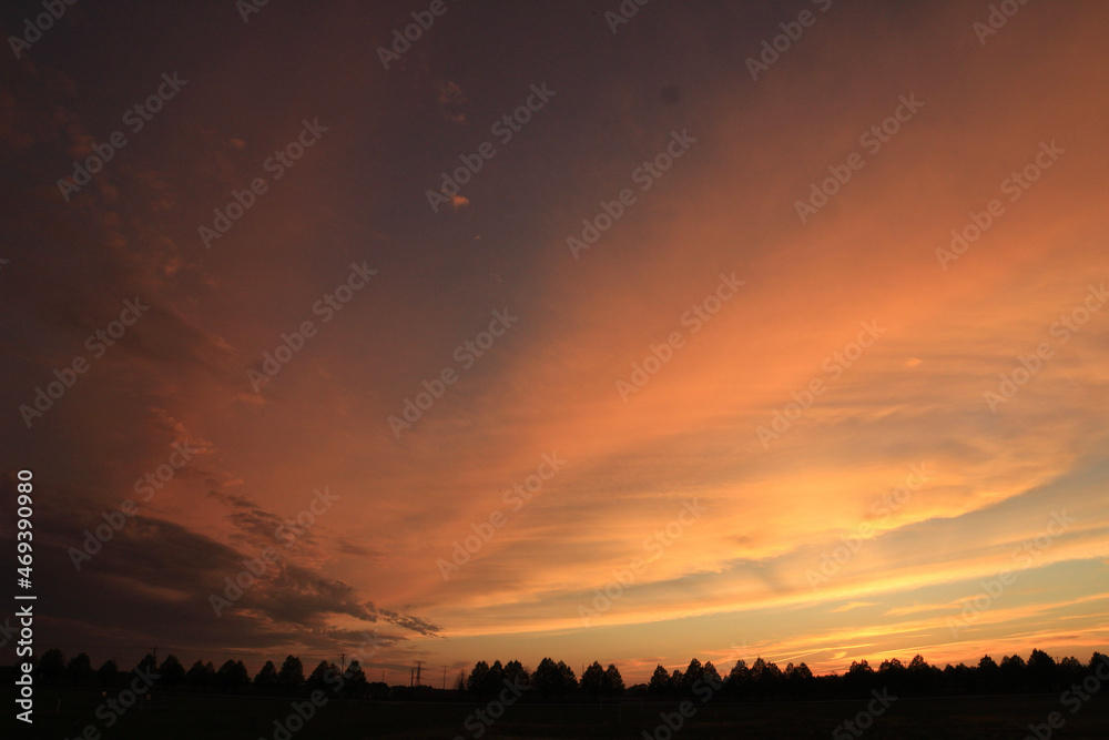 sunset over the field