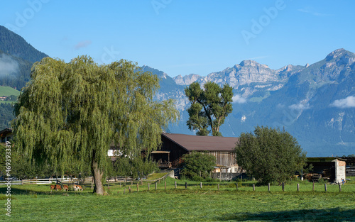 Alpine Farmhouse in the Alps