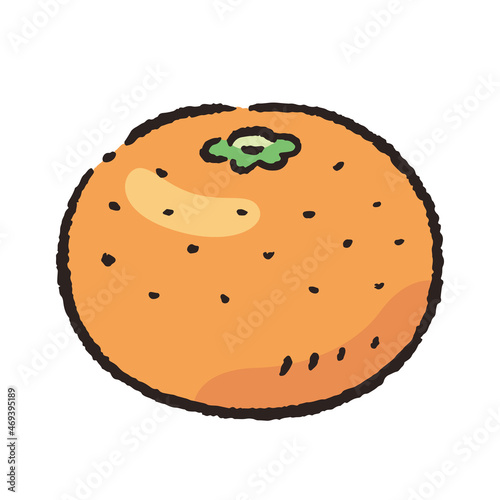 食べ物_果物_みかん