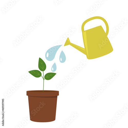 A garden watering can pours water on a flower growing in a ceramic pot.