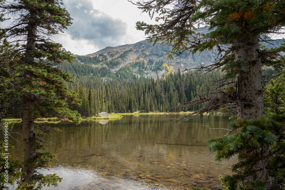 Calm lake Spruce in the middle of the Rocky Mountains NP