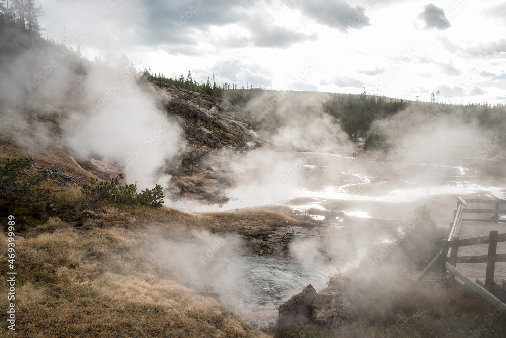 Steaming Mud Pod Area in famous Yellowstone National Park