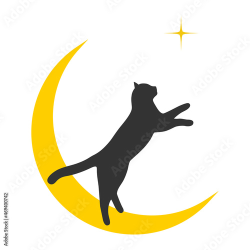 Illustration of a black cat on the moon pulls out a star