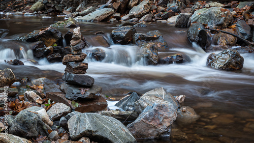 water flowing in the forest
