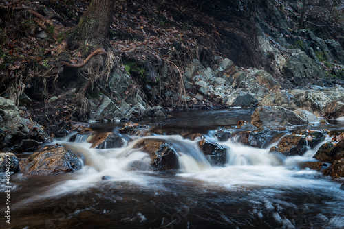 waterfall in the forest
