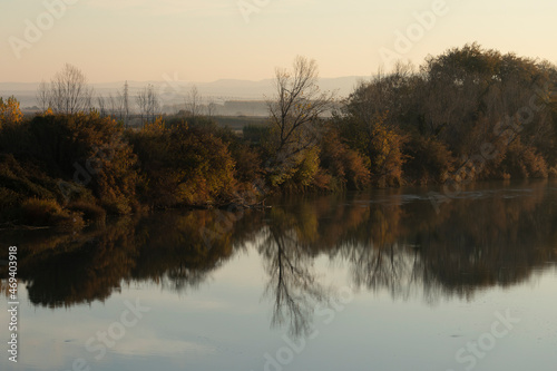 Natural autumn fluvial landscape of the Ebro River, as it passes through the small town of Gallur, in the Ribera Alta del Ebro region, Zaragoza province, Aragon, Spain