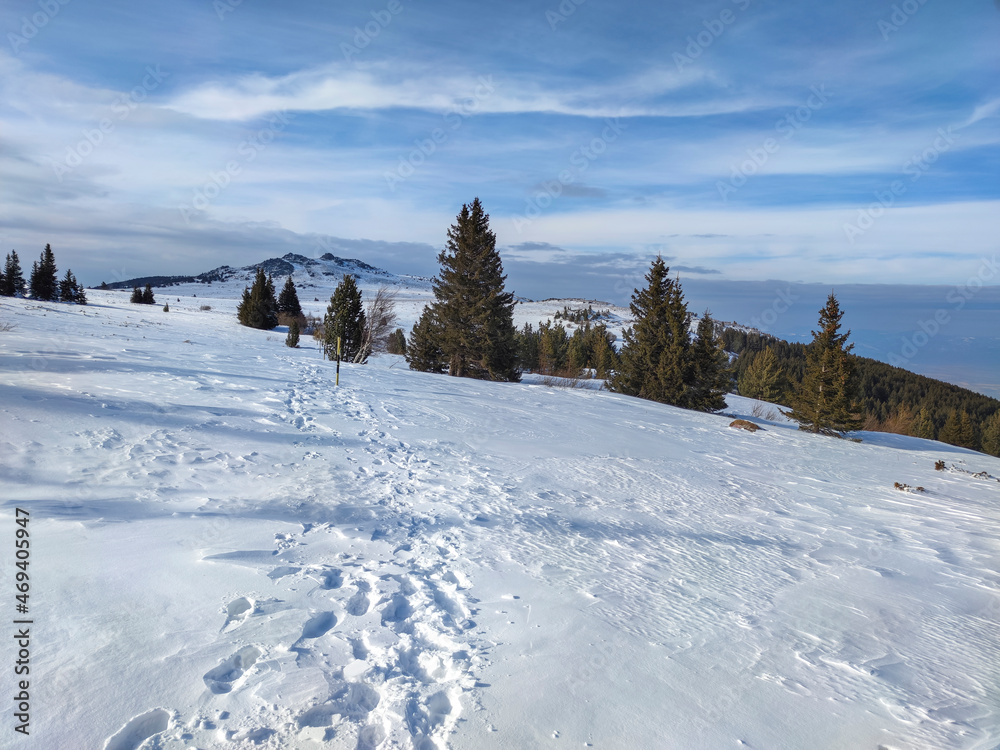Fototapeta premium Amazing Winter landscape of Vitosha Mountain, Bulgaria