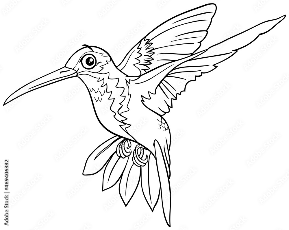 Obraz premium cartoon hummingbird bird animal character coloring book page
