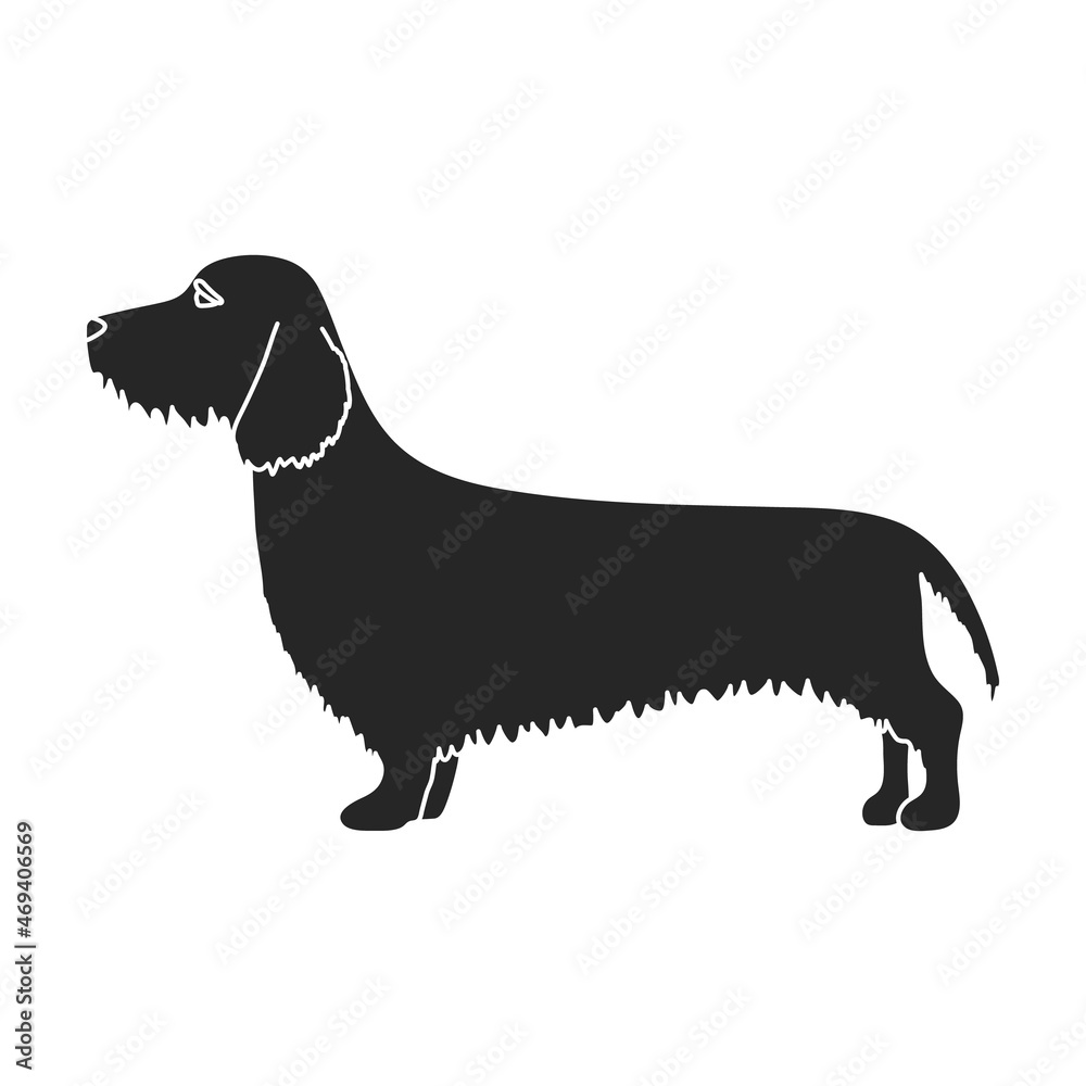 Dachshund vector icon.Black vector icon isolated on white background dachshund.