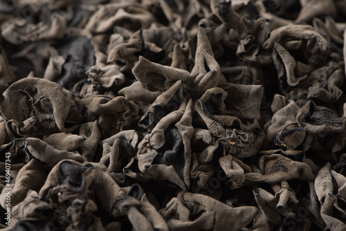 Dry black fungus or wood ear mushroom texture background. © zhikun sun