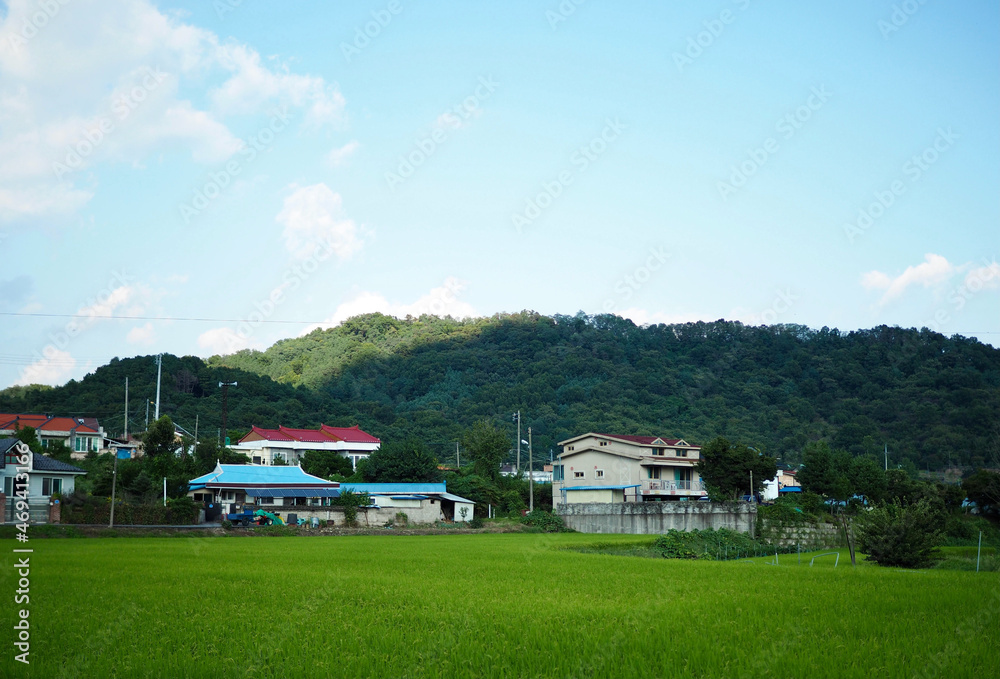 한국의 시골, 농촌, 집, 풍경