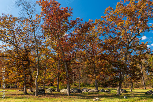 A grouping of trees and boulders in the Gettysburg National Military Park on a sunny fall day