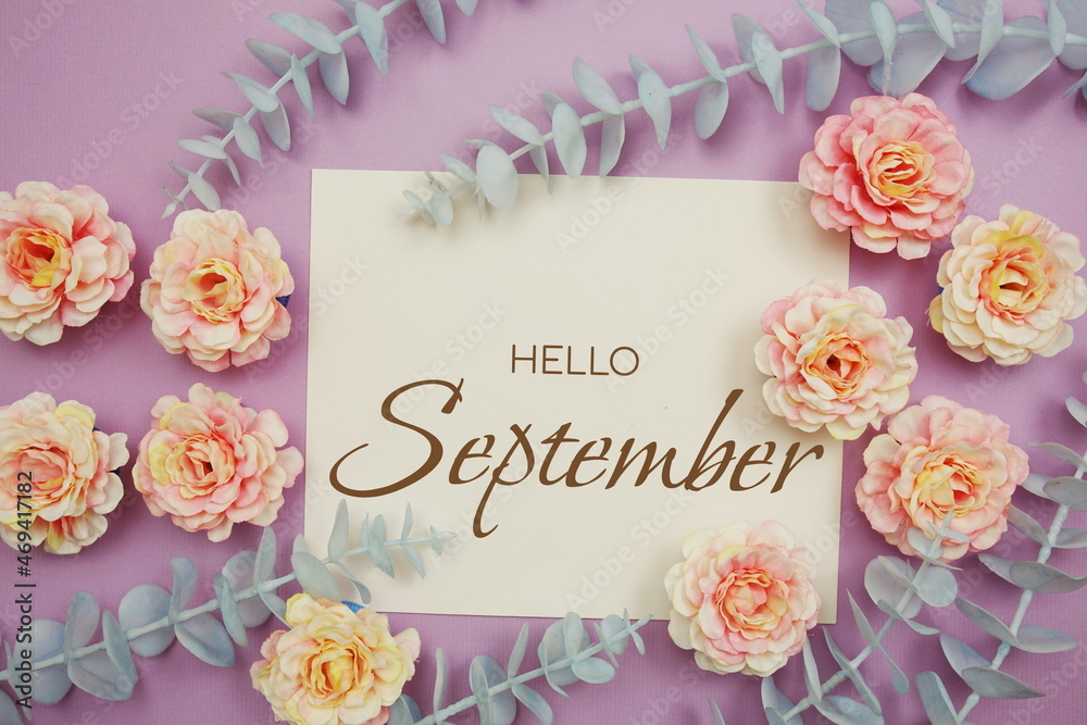 Hello September typography text and flower decorate on purple background Hello September typography text and flower decorate on purple background