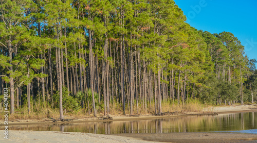 The tree lined beach on Hammock Bay in Freeport, Walton County, Florida