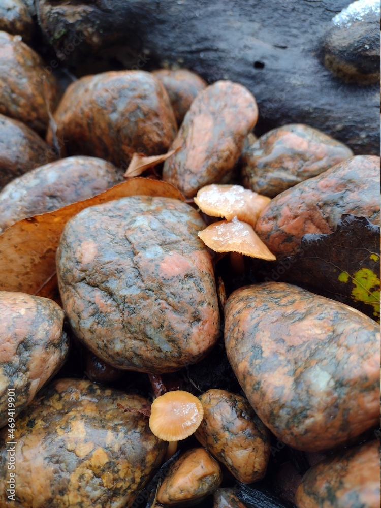 stones and water stones and water
