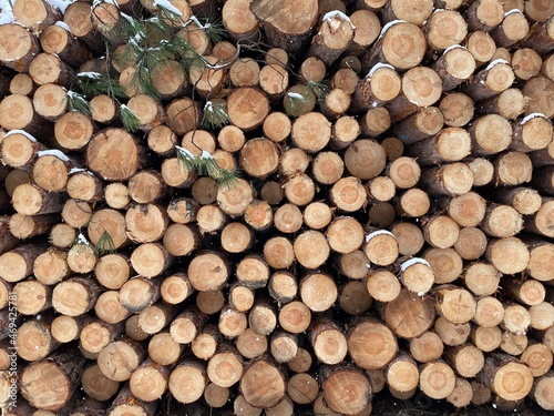 stack of firewood