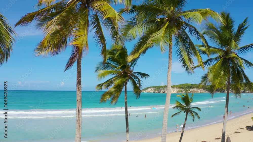 Green branches of palm trees against the blue sky and turquoise sea. Sandy sea beach on the sunny coast. Bright beautiful tropical landscape. Green branches of palm trees against the blue sky and turquoise sea. Sandy sea beach on the sunny coast. Bright beautiful tropical landscape.