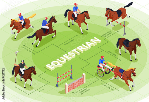 Equestrian Sport Flowchart